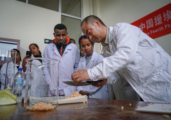 2025年8月20日,在埃塞俄比亚首都亚的斯亚贝巴,中方专家在亚的斯亚贝巴理工学院对大学生进行菌种制作技术指导。新华社记者 韩旭 摄